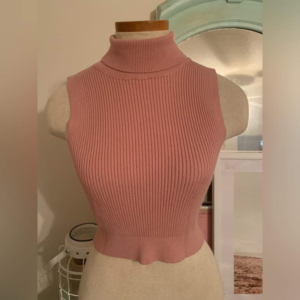 Dusty Rose/ mauve ribbed crop turtle neck top